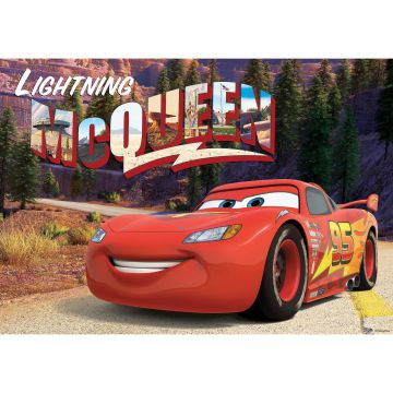 Fototapet duplex Disney Cars, 184 x 254 cm