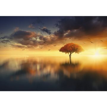 Fototapet duplex Savana 13003P, 184 x 254 cm