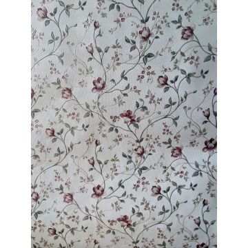 Tapet B66.4 6301-01 duplex, 10 x 0.53 m