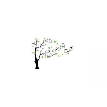 Sticker Decorativ Autocolant Copac cu 7 Rame Foto