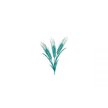 Sticker decorativ, Buchet spice de grau, turcoaz, 85x116 cm