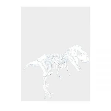Sticker decorativ, Schelet T-REX, Alb, 45x38 cm
