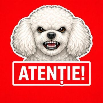 Banner indicator avertizare Atentie Caine Bichon Fris&eacute; 30x30cm