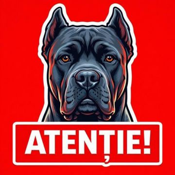 Banner indicator avertizare Atentie Caine Cane Corso 30x30cm