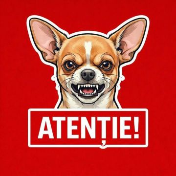 Banner indicator avertizare Atentie Caine Chihuahua 30x30cm
