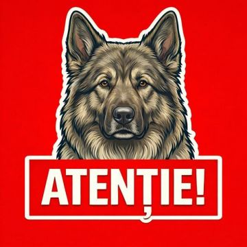 Banner indicator avertizare Atentie Caine Ciobănesc German 30x30cm