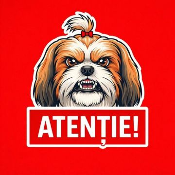 Banner indicator avertizare Atentie Caine Shih Tzu 30x30cm